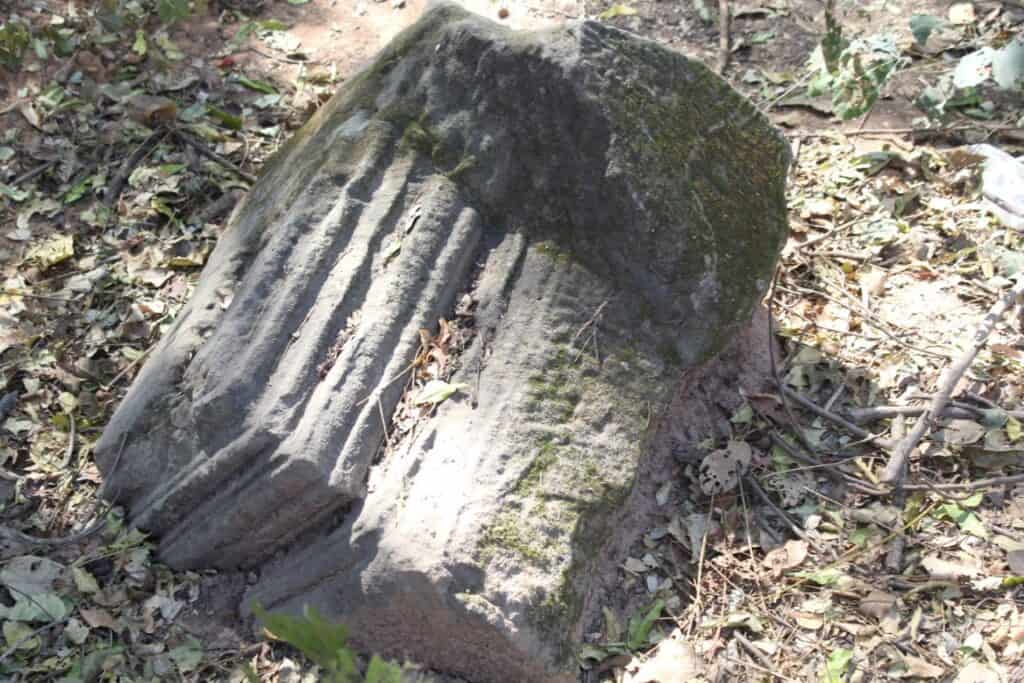 IMG 0435 Medium IMG 0435 Medium