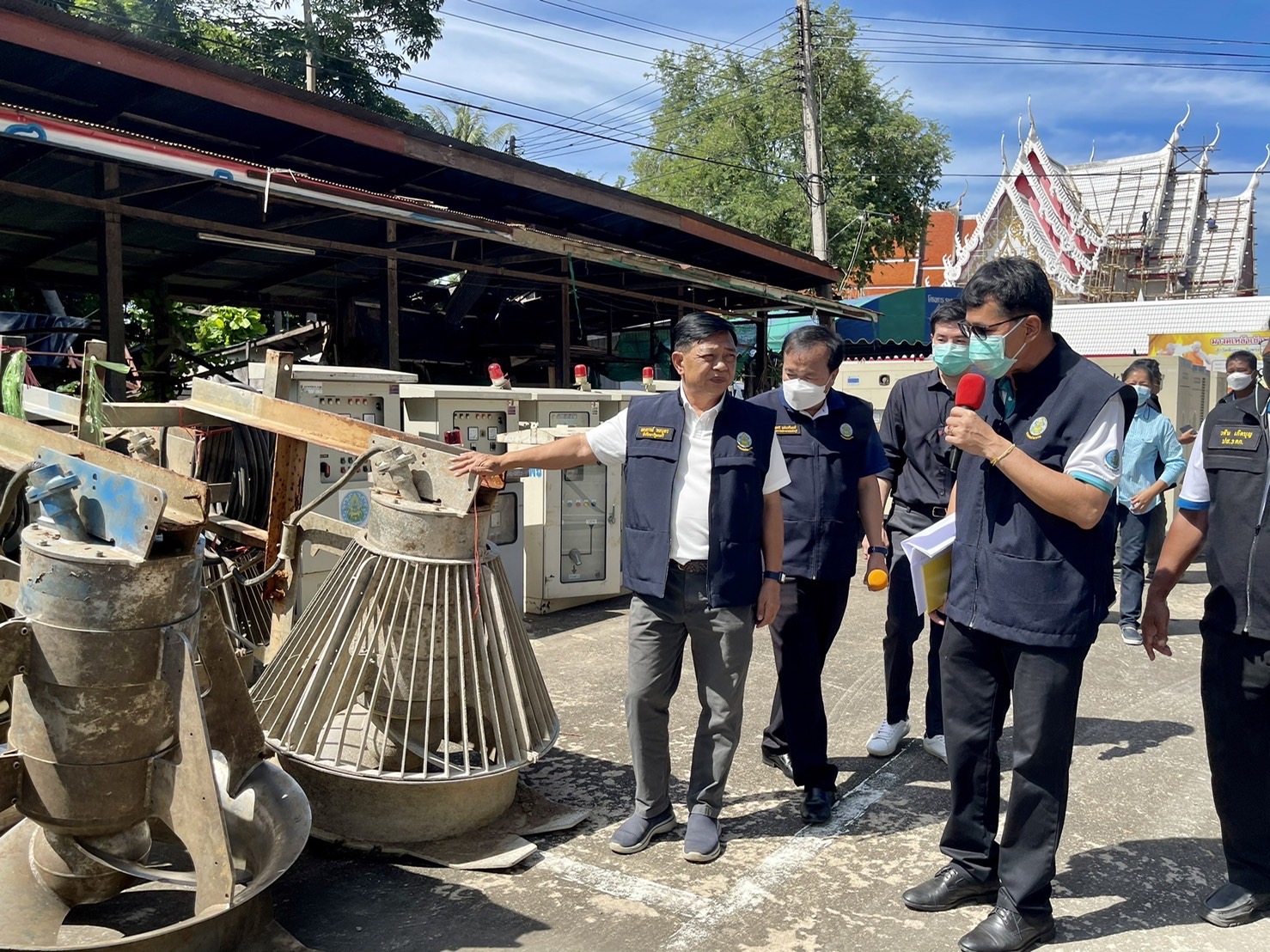 S 11804677 S 11804677