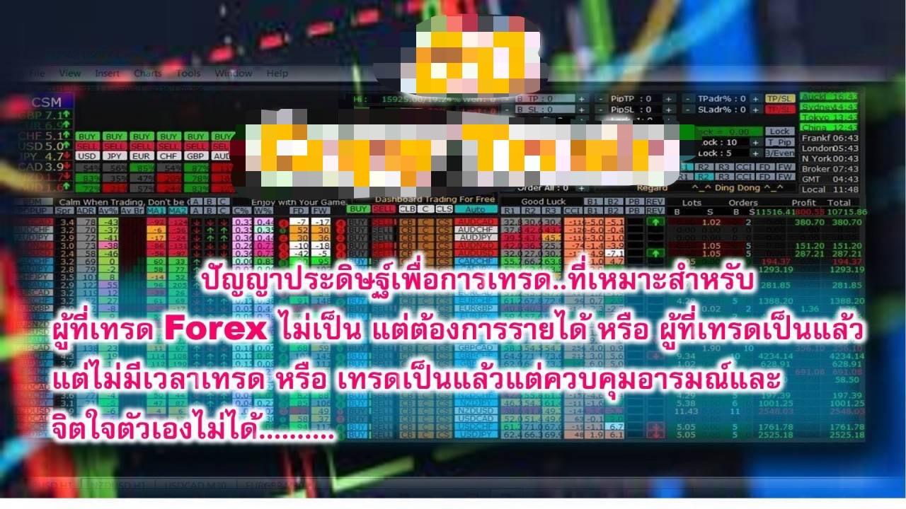 S 39551019 S 39551019