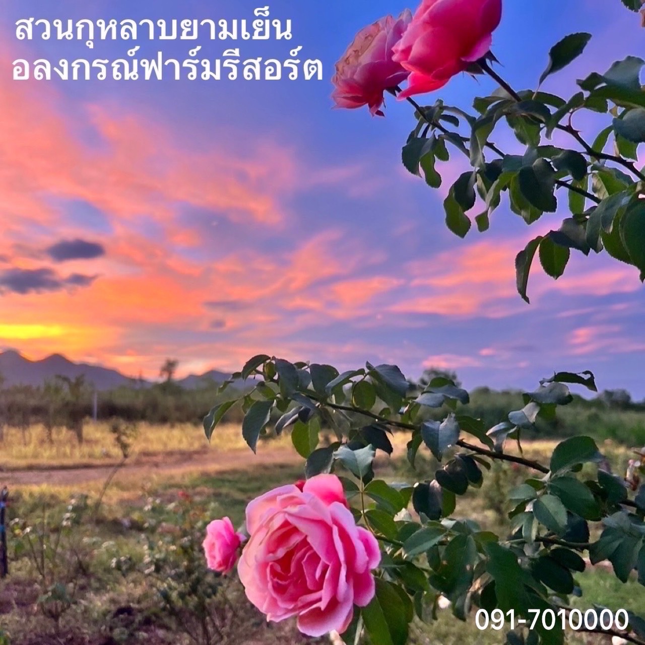 S 32784651 S 32784651