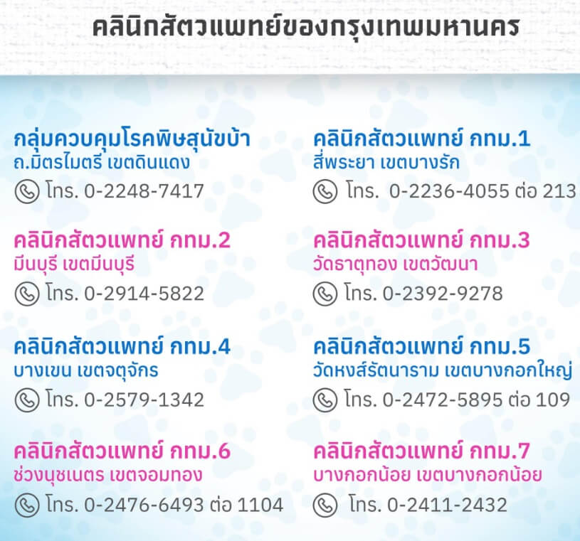 53501234 1 53501234 1