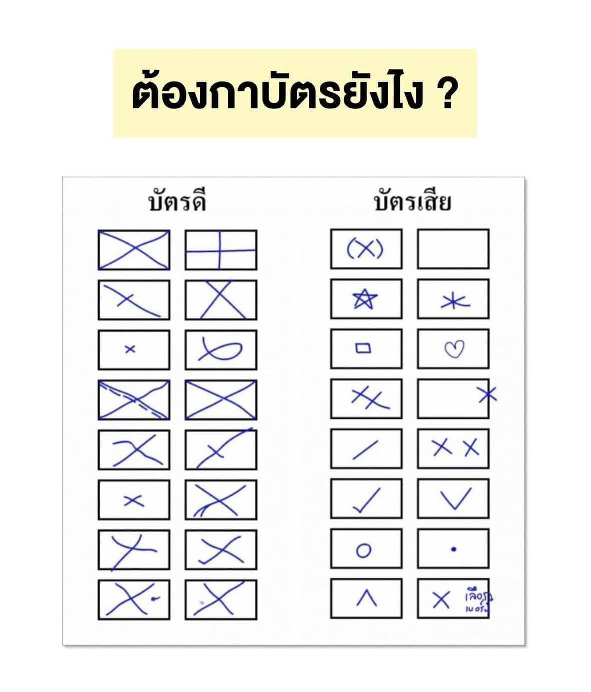 51349 51349