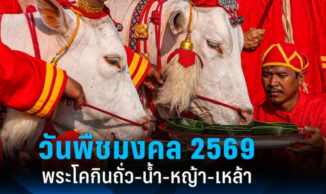 6981 1 6981 1